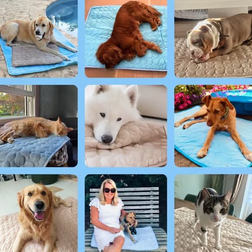 FrostPaw™ Mat – Self-Cooling Comfort for Dogs & Cats